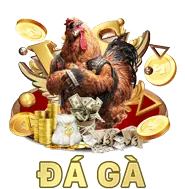 Khuyến Mãi Đá Gà